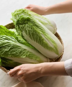 500 Michihili Cabbage Seeds - Chinese Chard, Bok Choy, Pak Choi - Image 1