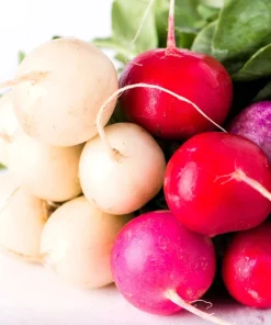 500 Mixed Colors Easter Egg Radish Seeds - Raphanus Sativus Vegetable Seeds - Image 8
