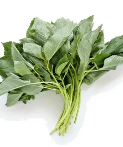 500+ Molokhia Egyptian Spinach Seeds - Rau Day, Saluyot, Heirloom, Non-GMO - Image 1