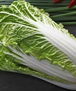 500+ Napa Cabbage Michihili Heading Chinese Cabbage Seeds - Non-GMO Fresh Garden Seeds - Image 2