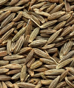 500 Organic Cumin Herb Flower Seeds - Cuminum Cyminum - Spice Garden - Image 3