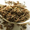 500 Organic Cumin Herb Flower Seeds - Cuminum Cyminum - Spice Garden - Image 1