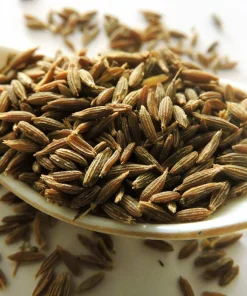 500 Organic Cumin Herb Flower Seeds - Cuminum Cyminum - Spice Garden - Image 1