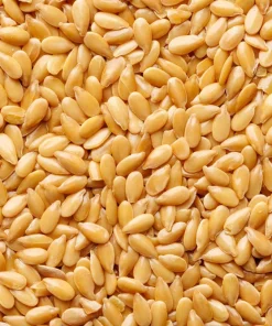 500 Organic Golden Flax Seeds - Yellow Linseed Flower Seeds - Linum Flavum - Image 3
