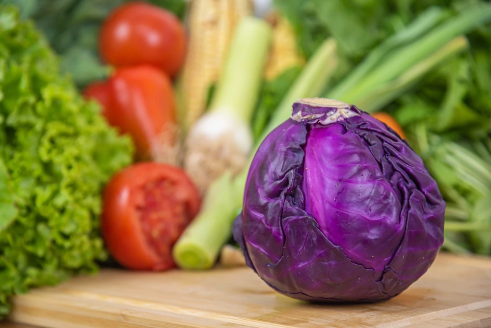 500 Red Acre Cabbage Seeds - Brassica Oleracea Capitata Vegetable Seeds - Image 6