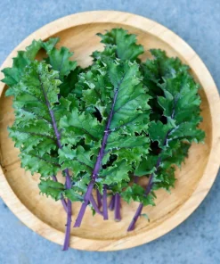 500 Red Russian Kale Seeds - Brassica Oleracea Vegetable Seeds - Image 4