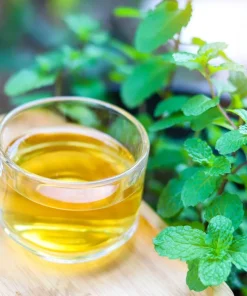 500 Spearmint Seeds - Mentha Spicata Herb Flower Seeds for Garden - Image 9