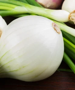 500 Sweet White Spanish Onion Seeds - Allium Cepa Vegetable Seeds - Image 3