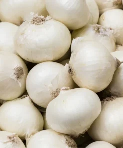 500 Sweet White Spanish Onion Seeds - Allium Cepa Vegetable Seeds - Image 7