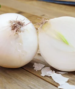 500 Sweet White Spanish Onion Seeds - Allium Cepa Vegetable Seeds - Image 1