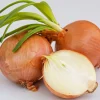 500 Sweet Yellow Spanish Onion Seeds - Allium Cepa Vegetable - Image 1