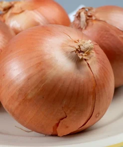 500 Sweet Yellow Spanish Onion Seeds - Allium Cepa Vegetable - Image 6
