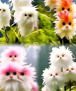 50pc Fragrant Cat Orchid Seeds - Large Flower Potted Garden Plants - Image 3