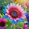 50pcs Twin-Blossom Blue Over Pink Sunflower Seeds - Unique Heirloom Variety - Image 1