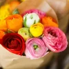 60 Mixed Ranunculus Seeds - Double Bloom Buttercups Colorful Perennial Flowers - Image 1