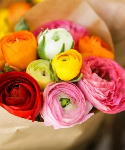60 Mixed Ranunculus Seeds - Double Bloom Buttercups Colorful Perennial Flowers - Image 1