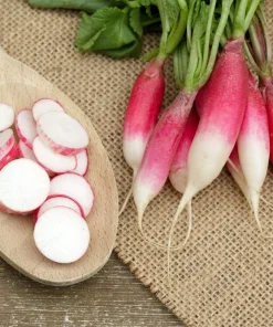 750 French Breakfast Radish Seeds - Raphanus Sativus Vegetable Seeds - Image 5