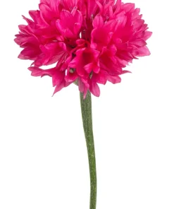 750 Red Bachelor's Button / Cornflower Flower Seeds - Centaurea Cyanus - Image 9