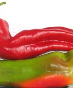 Aconcagua Sweet Pepper Seeds - 50 Seed Pack - Elongated, Sweet & Crunchy - Image 2