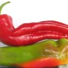 Aconcagua Sweet Pepper Seeds - 50 Seed Pack - Elongated, Sweet & Crunchy - Image 1