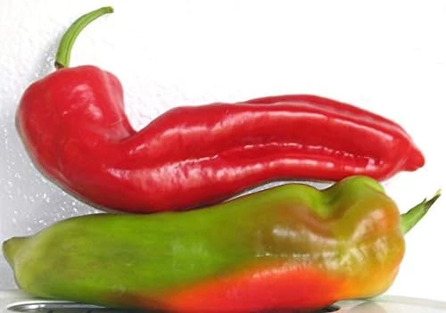 Aconcagua Sweet Pepper Seeds - 50 Seed Pack - Elongated, Sweet & Crunchy - Image 1