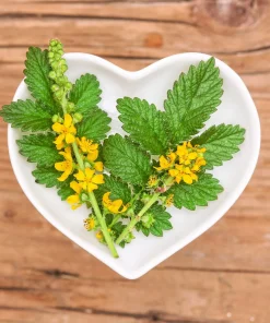 Agrimony Seeds - 15 Church Steeples Yellow Flower Seeds - Agrimonia Eupatoria - Image 8