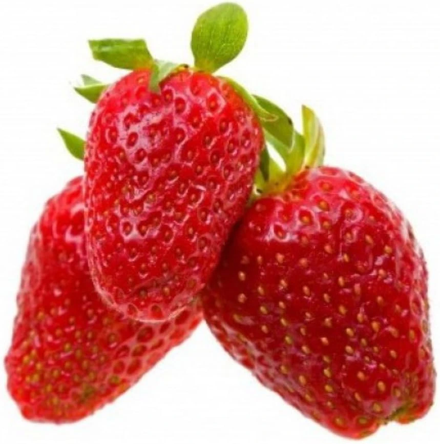 Alexandria Alpine Strawberry Live Plants - 8-Pack Fragaria for Garden - Image 1