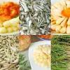 Allium chinense Rakkyo Bulbs - Edible Herb Root for Culinary Use, 12 Count - Image 1