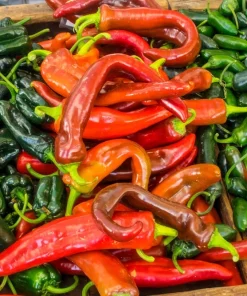 Anaheim Chili Pepper Seeds - 300 Count, New Mexico Capsicum Annuum Vegetable Seeds - Image 4