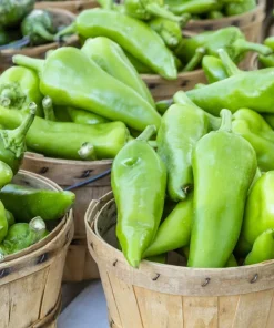Anaheim Chili Pepper Seeds - 300 Count, New Mexico Capsicum Annuum Vegetable Seeds - Image 5