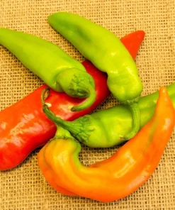 Anaheim Chili Pepper Seeds - 300 Count, New Mexico Capsicum Annuum Vegetable Seeds - Image 7