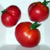 Anna Russian Oxheart Tomato Seeds - Heirloom, Indeterminate, 20 Seeds - Image 1