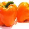 Ariene Orange Dutch Pepper Seeds - Sweet Bell Pepper, 10 Seeds - Image 1