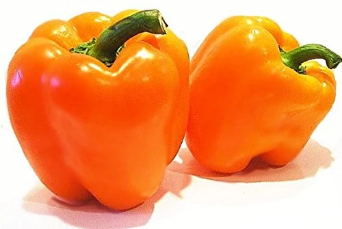 Ariene Orange Dutch Pepper Seeds - Sweet Bell Pepper, 10 Seeds - Image 1