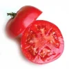 Arkansas Traveler Tomato Seeds - 10 Heirloom Seeds - Heat Tolerant - Image 1