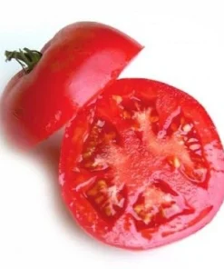 Arkansas Traveler Tomato Seeds - 10 Heirloom Seeds - Heat Tolerant - Image 1