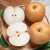 Asian Pear Tree Seeds - Pyrus Pyrifolia - 30 Seeds - Grow Your Own Fruit - Image 1