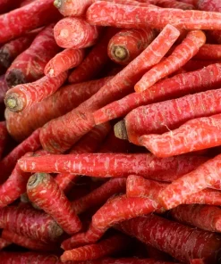 Atomic Red Carrot Seeds – 400 Count – Sweet & Crunchy Vegetable Seeds for Garden - Image 3