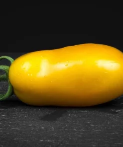 Banana Legs Tomato Seeds - Yellow Heirloom Determinate Variety, 40 Seeds - Image 5
