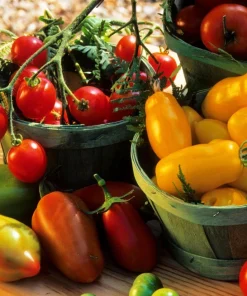 Banana Legs Tomato Seeds - Yellow Heirloom Determinate Variety, 40 Seeds - Image 6