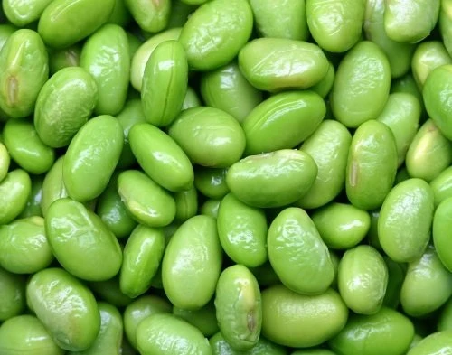 Be Sweet Soybean Seeds - 60 Count Edamame Seeds - High Protein & Yielding - Image 1
