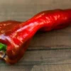 Beaver Dam Pepper Seeds - Mildly Hot Heirloom Pepper - 20 Seeds - Image 1