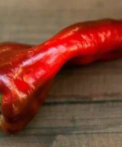 Beaver Dam Pepper Seeds - Mildly Hot Heirloom Pepper - 20 Seeds - Image 1