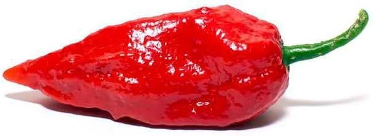 Bhut Jolokia Chile Pepper Seeds - 10 Ghost Pepper Seeds - Extremely Hot - Image 1