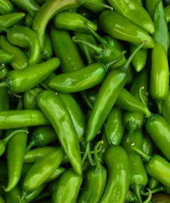 Big Jim Pepper Seeds - 100 Count - Large 12
