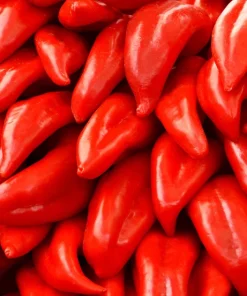 Big Jim Pepper Seeds - 100 Count - Large 12