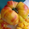 Big Rainbow Heirloom Tomato Seeds - 50 Count Beefsteak Variety - Image 1