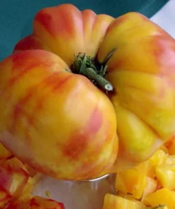 Big Rainbow Heirloom Tomato Seeds - 50 Count Beefsteak Variety - Image 1