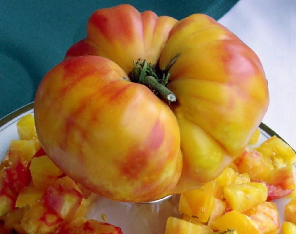 Big Rainbow Heirloom Tomato Seeds - 50 Count Beefsteak Variety - Image 1