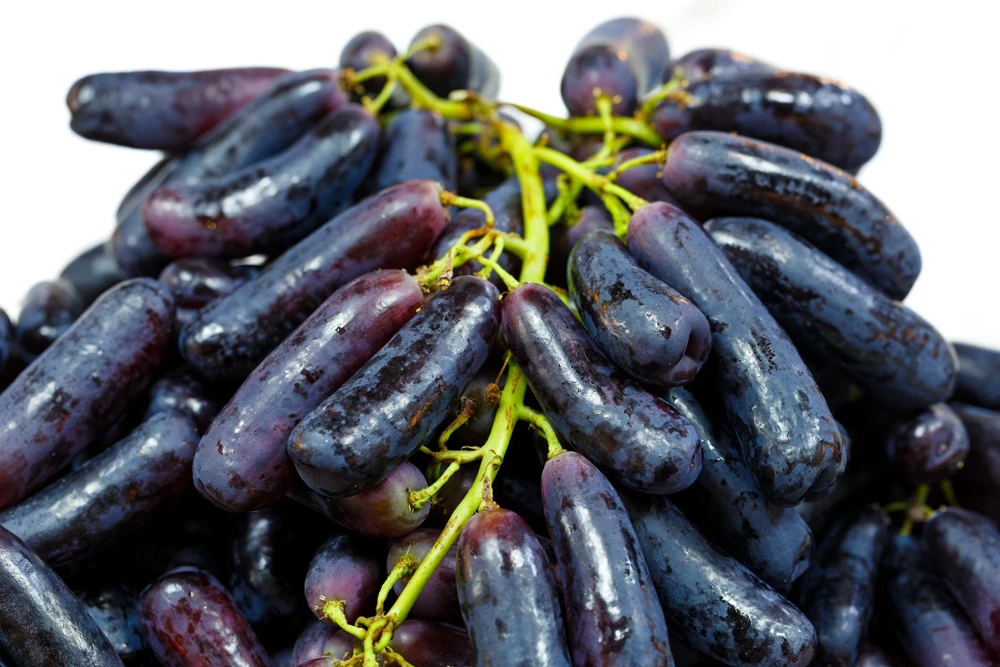 Black Finger Grape Vine Seeds - Vitis Vinifera Fruit - 5 Count - Image 2
